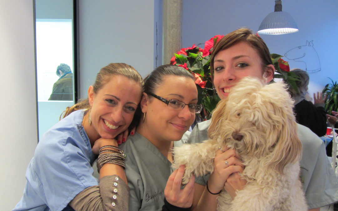 Screening and Measuring Employee Happiness in a Veterinary Practice