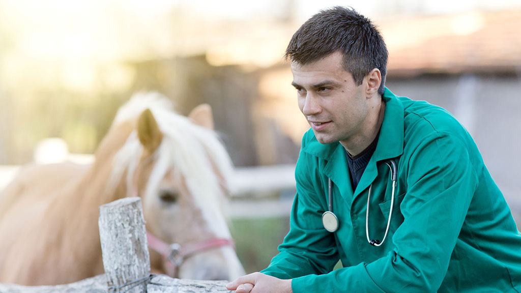 Veterinary Position and Practice Ownership Opportunity | Bashore Halow Veterinary Position and Practice Ownership Opportunity | Bashore Halow