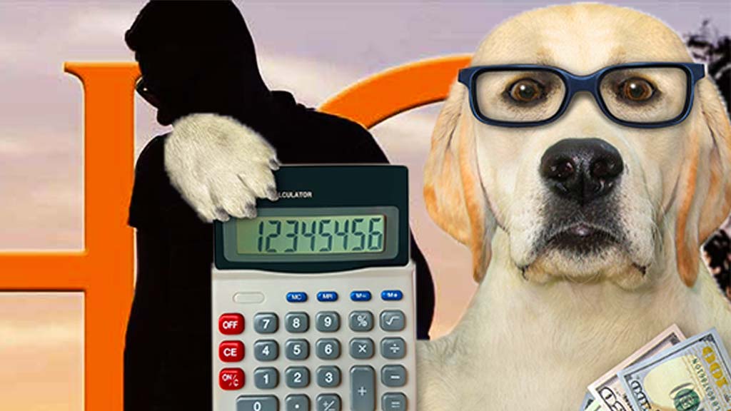 veterinary pricing calculator