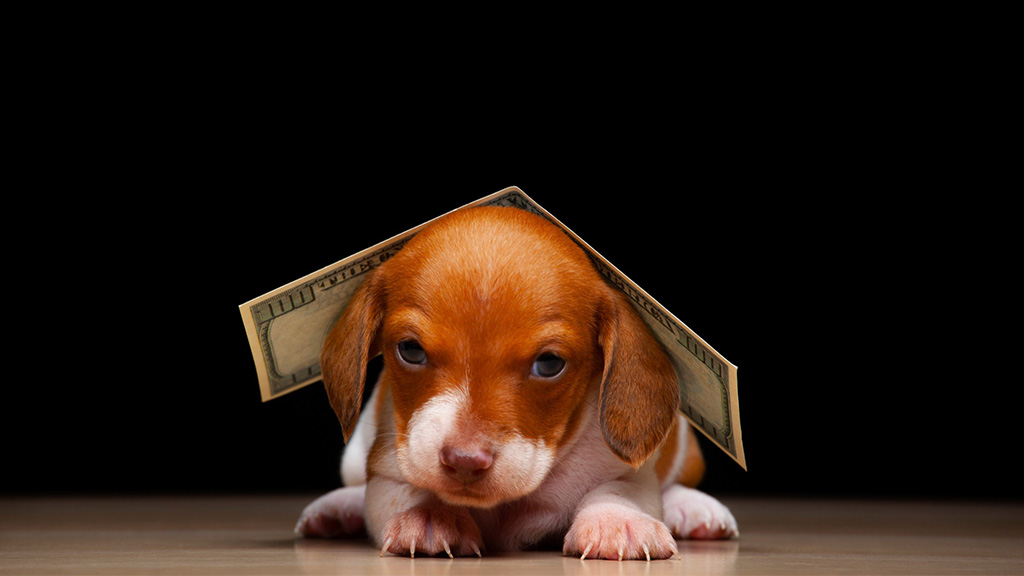 Preparing Your Veterinary Practice for Recession 2023-24