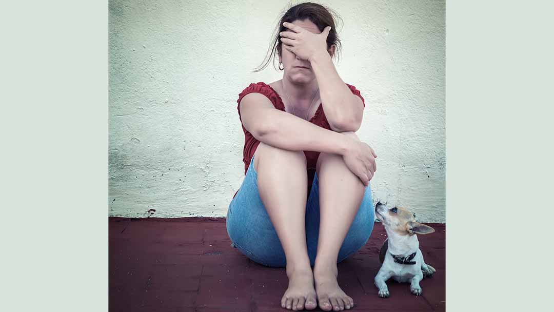 A Fear Free Approach to Humans